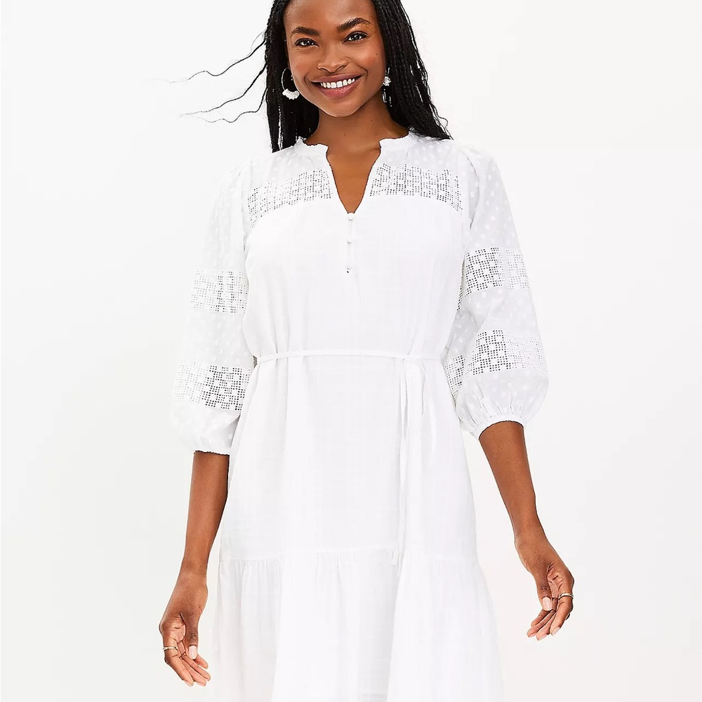 Dotted Lace Trim Flounce Dress - brand new with tags